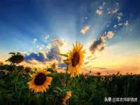 淮安万客达网络科技有限公司
