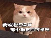 淮安万客达网络科技有限公司
