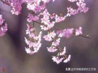 淮安万客达网络科技有限公司