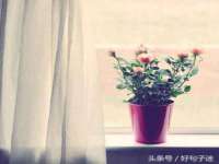 淮安万客达网络科技有限公司