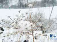 淮安万客达网络科技有限公司