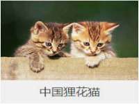 淮安万客达网络科技有限公司