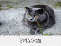 淮安万客达网络科技有限公司