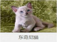 淮安万客达网络科技有限公司