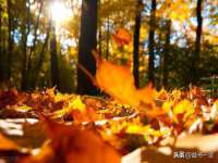 淮安万客达网络科技有限公司