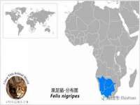 淮安万客达网络科技有限公司