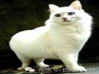 淮安万客达网络科技有限公司