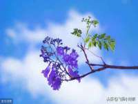 淮安万客达网络科技有限公司