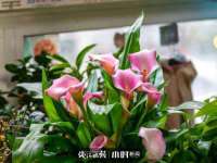 淮安万客达网络科技有限公司