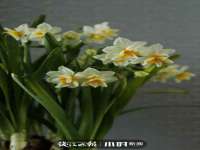 淮安万客达网络科技有限公司