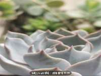 淮安万客达网络科技有限公司