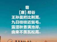 淮安万客达网络科技有限公司