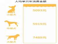 淮安万客达网络科技有限公司