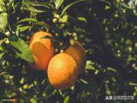 淮安万客达网络科技有限公司