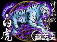 淮安万客达网络科技有限公司