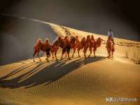 淮安万客达网络科技有限公司