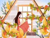 淮安万客达网络科技有限公司