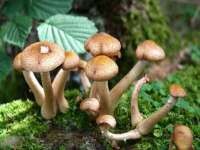 淮安万客达网络科技有限公司