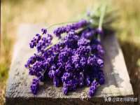 淮安万客达网络科技有限公司