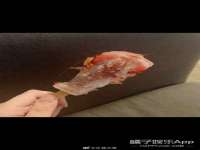 淮安万客达网络科技有限公司